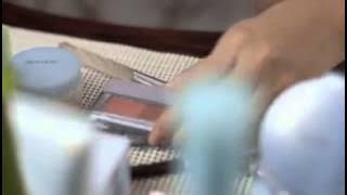 Marshanda & colors wardah