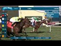 Single Track Mind  wins race 3 at Del Mar 11/24/23.