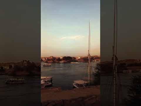 الفنان عصام الاسوانى شوف الابداع