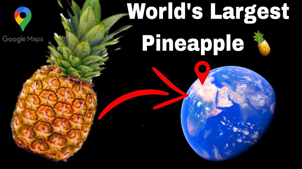 Found World's Largest Pineapple 🍍// The Big Pineapple 🍍// Google Maps 🌎