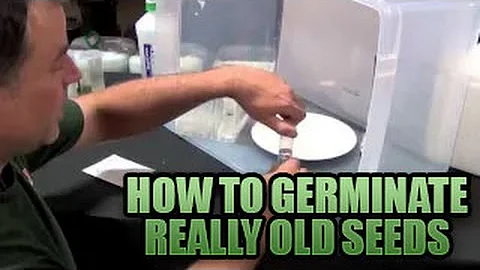Germinating Really Old Seeds 101 | How to get Old Seeds to POP Sprouting Old Seeds in Growers House