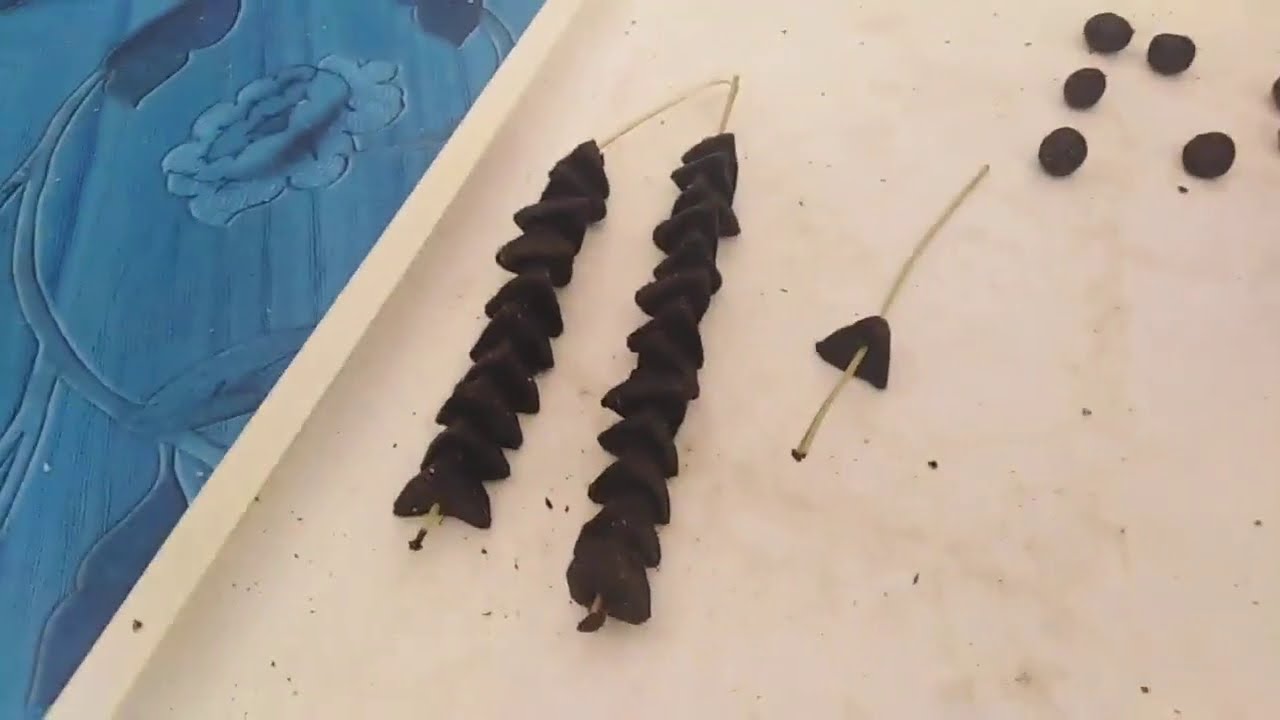 السخاب النايلي