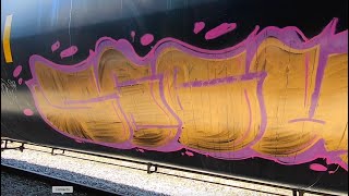 Graffiti Freight Train Watching #4 But RAILROAD WORKERS CRASH THE PARTY!