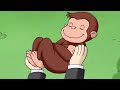 Curious George 🐵Whistlepig Wednesday  🐵 Kids Cartoon 🐵 Kids Movies | Videos for Kids