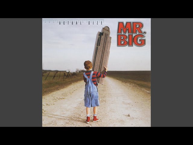 Mr. Big - Wake Up