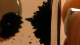 Fun with Ferrofluid in a bottle