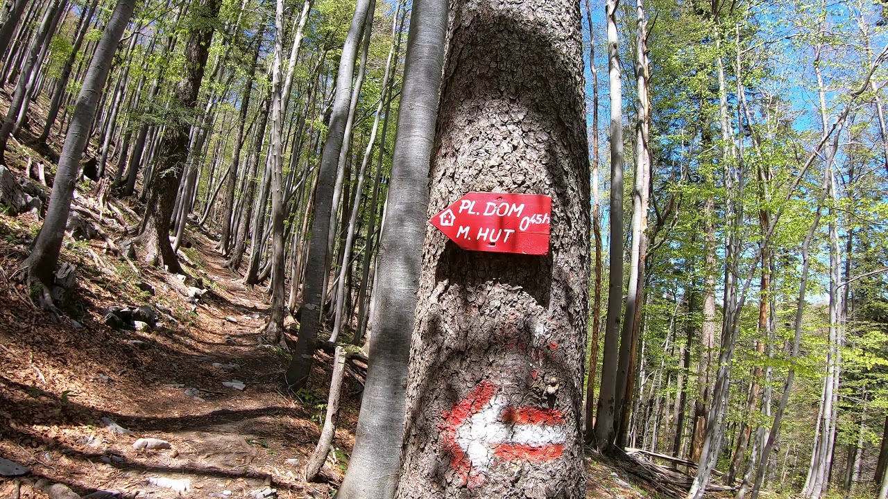 Veliki Risnjak 1528m - Horvatova staza