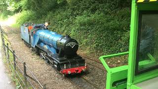 Saltburn Miniature Railway 2021