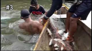 Amazing Asian Net Fishing On River