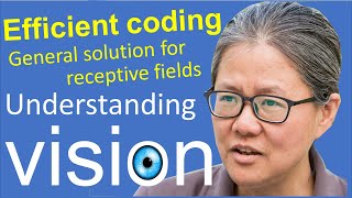 Understanding vision book:  Chap 3, Efficient Coding,  9: general solution for receptive fields
