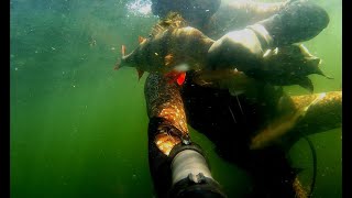 Подводная Охота Осень В  Поиске Крупной  Щуки