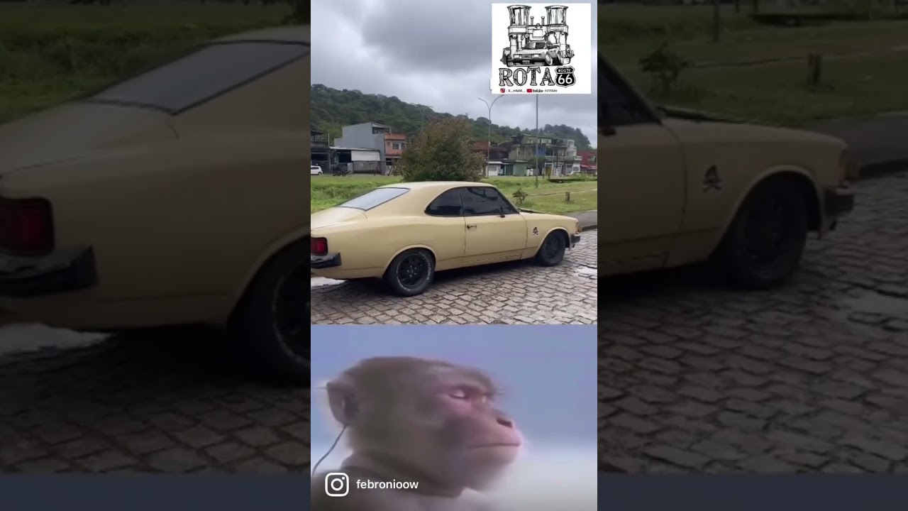 Opala 4 cilindros comando 278 e Weber 40 embaralhando