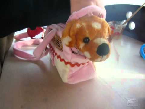 chien chinois peluche