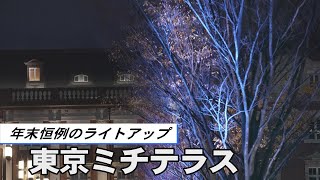 柔らかな光、都心を照らす　東京駅周辺、年末恒例イベント