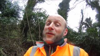 Treemankyle Dead fell more little people
