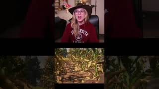 Me Han Engañadoooo On