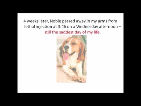 members mark salmon and pea