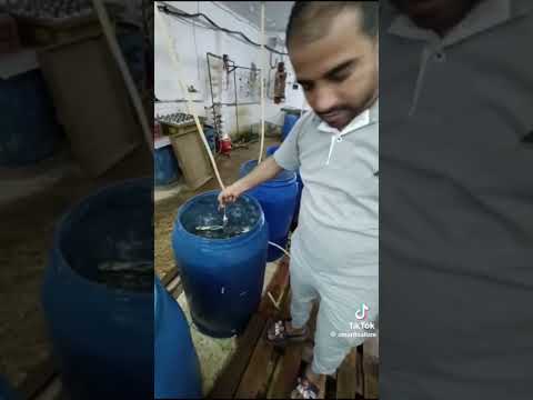 طلاء النحاس و خلاطات المياةم مشروع تصنيع خلاطات المياة عمر سلام لصناعة خلاطات المياة 01129303029