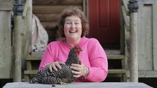 3 Different Chicken Breeds That Make The Best Laying Hens