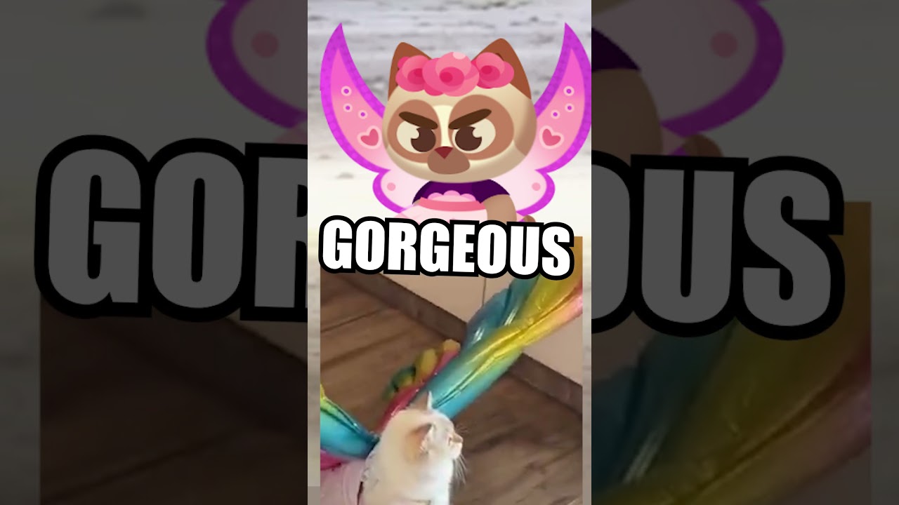 🐈Какой Котик Сегодня Ты?