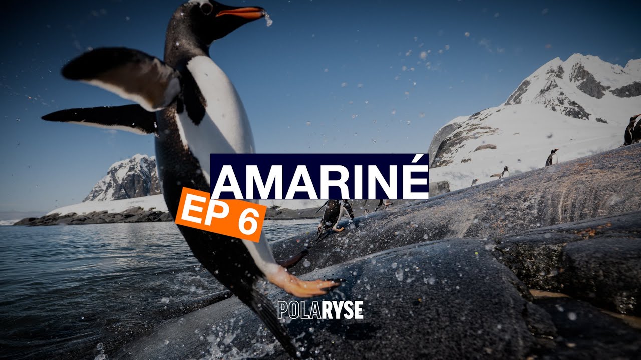 L'ANTARCTIQUE c'est magique ! - 