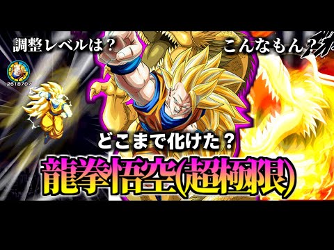 【ドッカンバトル】30秒で分かる龍拳悟空(超極限)【比較】