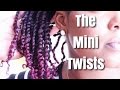 Natural Hair | The Mini Twists