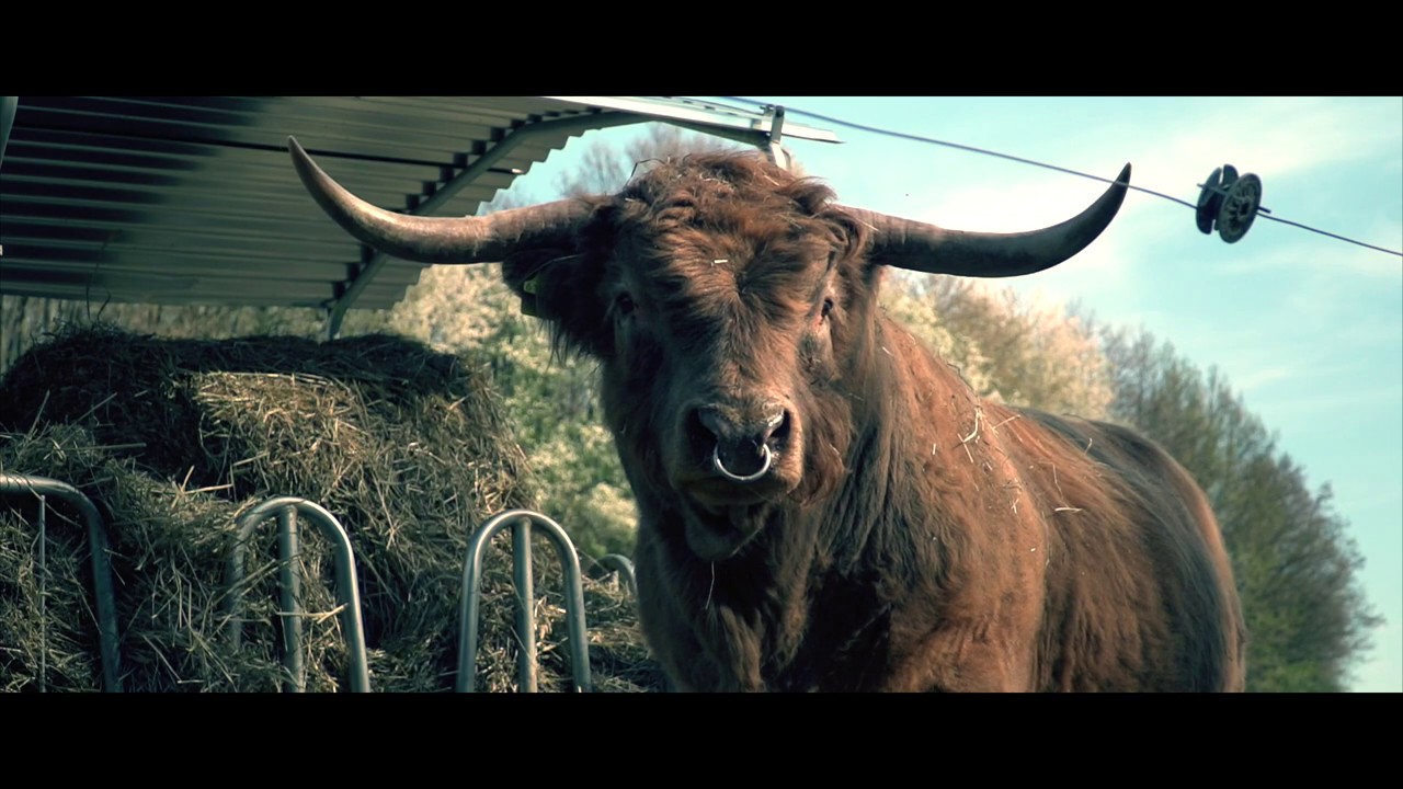 Neues auf der Ranch - YouTube