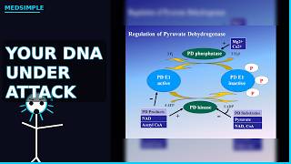1 Enzyme, 2 Diseases