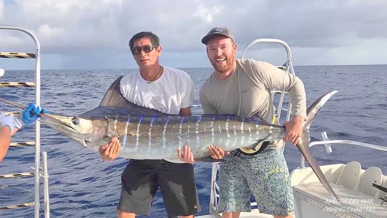 Fishing Charters Tours Placencia Destimap Destinations On Map Fishing Charters Tours Placencia Destimap Destinations On Map