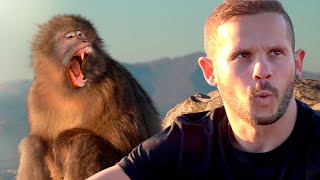 Los WHAT! en Gibraltar | Cuidado con los monos! 🐒