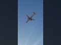 American airline flying