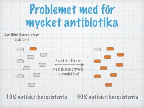 Video: När uppfanns pastöriseringsprocessen?