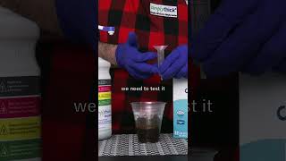 Moderately Thick Cameron's Coffee — The Wheel Decided