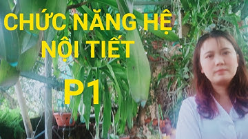 Sinh lý nội tiết - P1 (Đại cương)