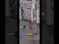 Hombre defiende a su dos perros #perro #viral #heroes #parati #shorts