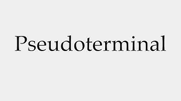 How to Pronounce Pseudoterminal