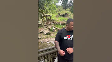 Man Angers Baboons At Aukland Zoo 1526181 