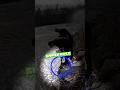 Sniper Rifle Found During Magnet Fishing