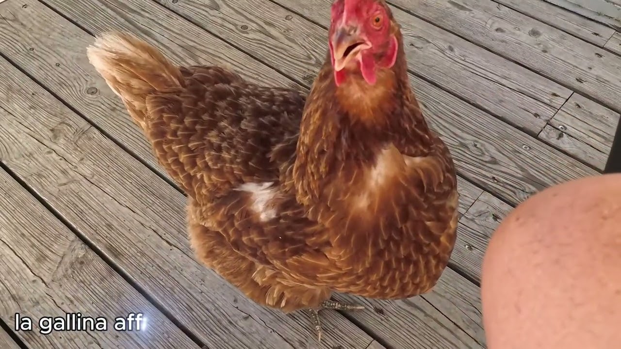 In bici a Malga Laste