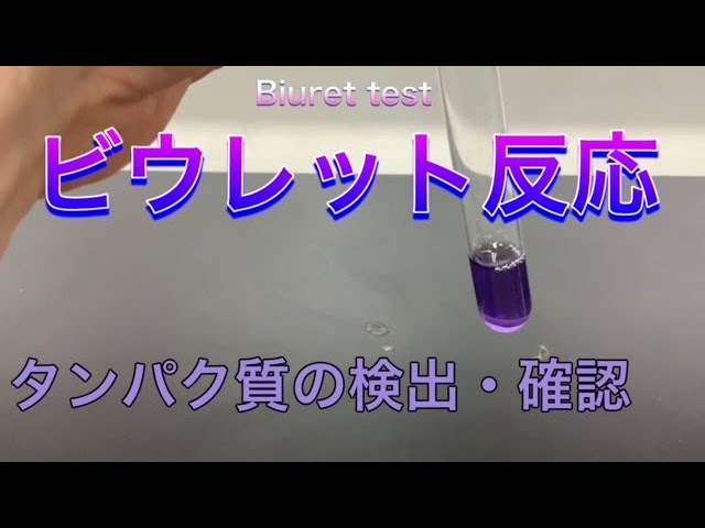 高校化学 ビウレット反応 Biuret Test Youtube