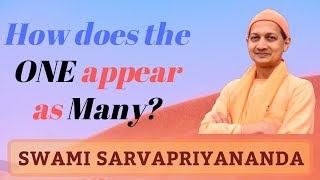 How does the One appear as Many? | Swami Sarvapriyananda