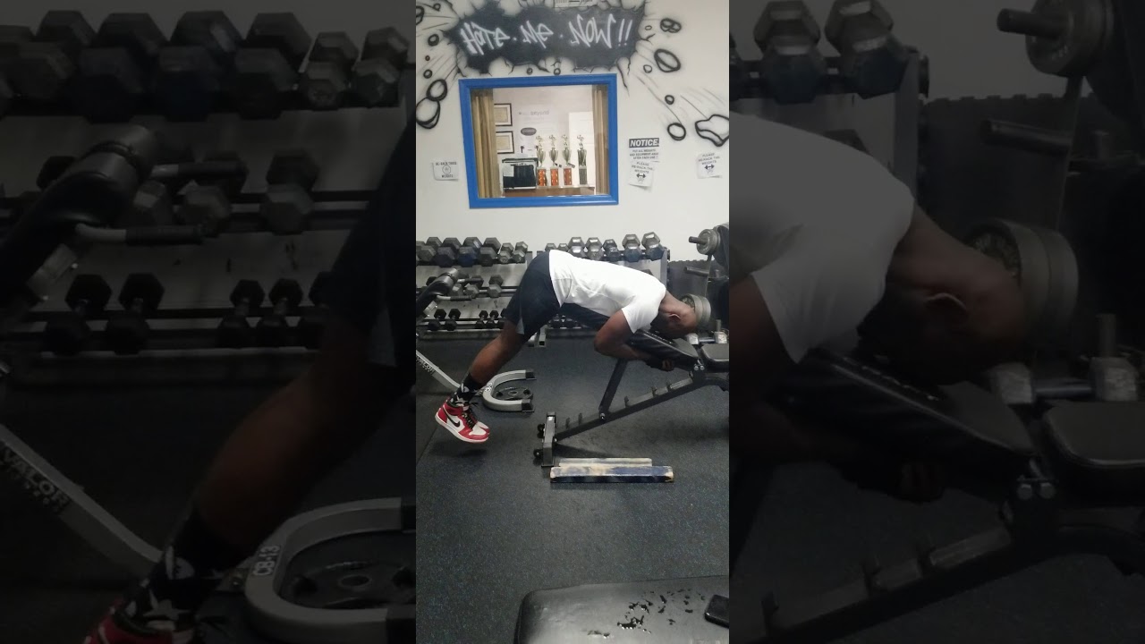 Bench Reverse hyper extension