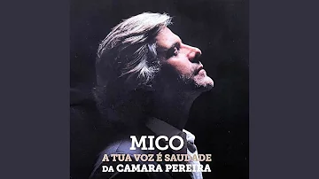 Fado Falado (feat. Nuno da Camara Pereira, Gonçalo Da Camara Pereira)