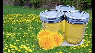 Faire de la CONFITURE de PISSENLIT (cramaillotte franc-comtoise)