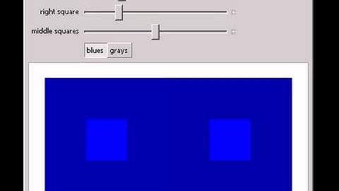 The Simultaneous Contrast Effect