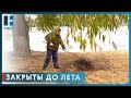 На пляжах Тамбова спасательные вышки готовят к зиме