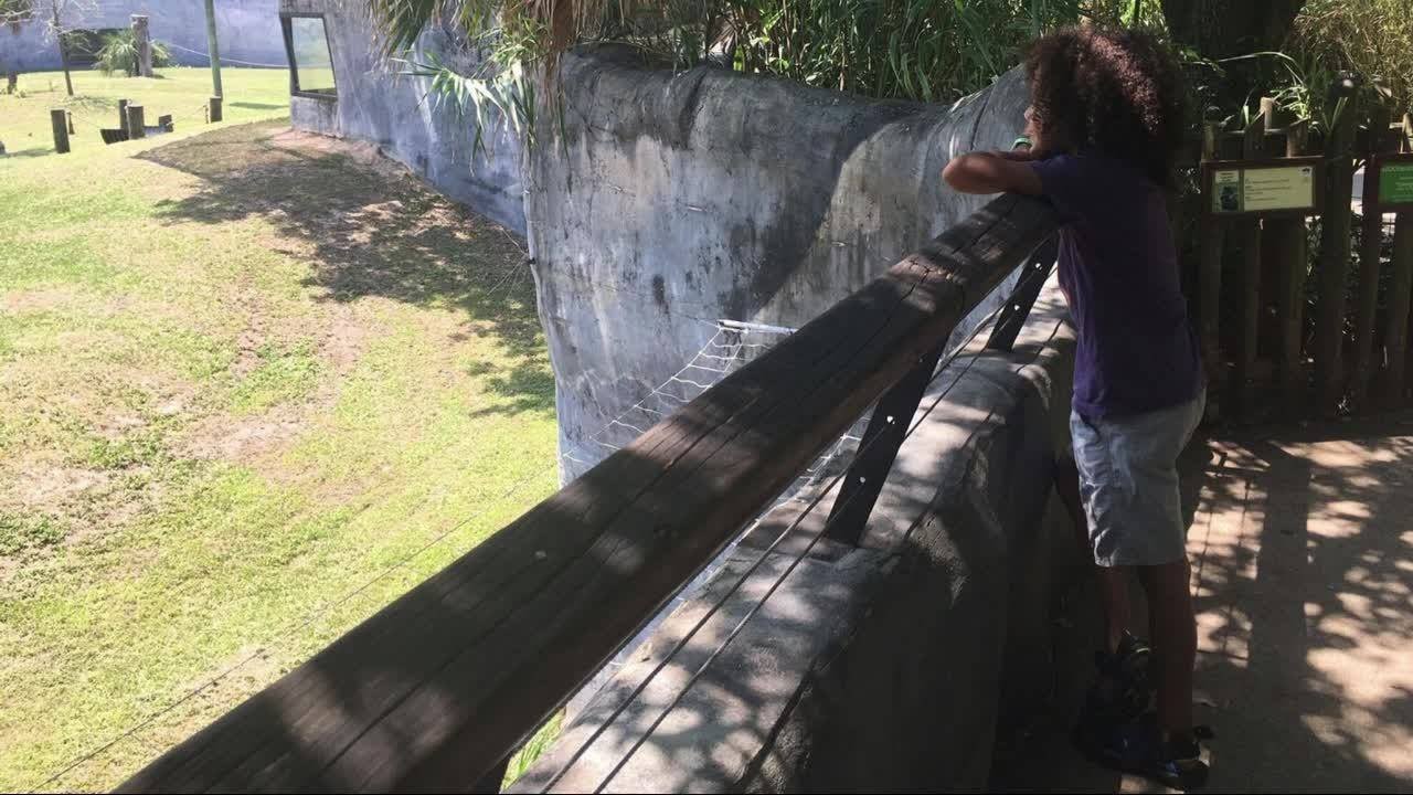 Safety measures at Jax Zoo