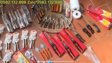 Giảm GIÁ TRI ÂN KÉO CẮT CÀNH CẦM TAY KÉO TỈA CÀNH CƯA CÀNH GIÁ RẺ