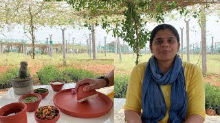 A day at farm||ఉన్నంతలోనే వంట||B like Bindu